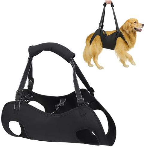 Aide au transport pour chien, escalier, aide à la mobilité pour chien, harnais de levage pour pattes arrière, support de hanche avec poignées, soutien de sécurité pour handicapés, blessés ou chiens