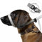 Total Pet Figure of 8 Dog Lead Flat with Anti Tangle Swivel Mechanism – Anti Pull Stop Dogs Pulling – Slip Leads Reflective with Padded Nose Support - 210cm