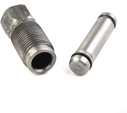 Automotive Auto Ölpumpe Zylinder Kolbendichtung 1 Satz für Fahrzeugwartung