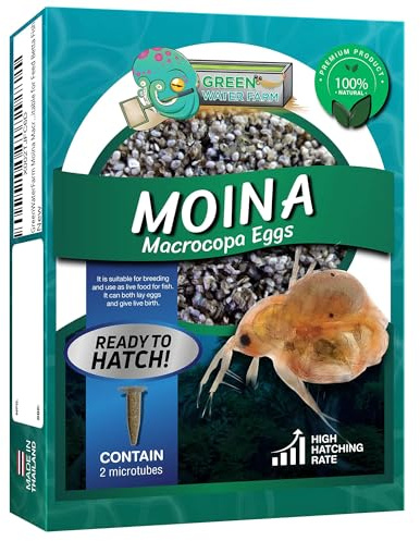 GreenWaterFarm Moina Macrocopa Eggs (Water Flea) Live Fish Food for Hatching and Culture Suitable for Feed Betta Fish