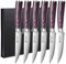 Coltelli da bistecca Set di 6, Coltello in acciaio inossidabile tedesco di alta qualità, lama seghettata ultra affilata e manico ergonomico in legno, coltelli da tavola con confezione regalo