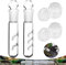 PhoenixDN 4 Stück Planaria Trap, Planarienfalle Glas, 2 Loch 3 Loch Klarglas Catcher Trap, 8 Löcher Acryl Aquarium Falle, Falle und Schnecken Falle für Aquarium Garnelen Aquarium
