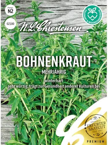 Bohnenkraut mehrjährig