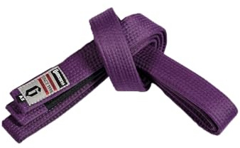 Gameness Adult Jiu Jitsu Belt | BJJ Belt for Beginners and Experts Purple A2
