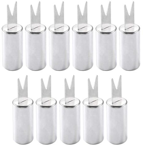 JRYGAC 11 Pezzi Spiedini di Mais, Spiedini per Barbecue in Acciaio Inox, Forchette per Mais, Porta Pannocchie di Mais, Pannocchie di Mais Riutilizzabili, Forchette da Frutta per Barbecue, Cucina