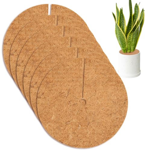 Lot de 6 tapis en fibre de coco, protection des plantes, disques de 20 cm, jardinage, protection des plantes, protection contre le gel des plantes, protection des plantes en pot