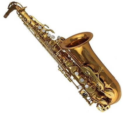 Professionell Saxofon Guldlackerad Altsaxofon I Ess modell