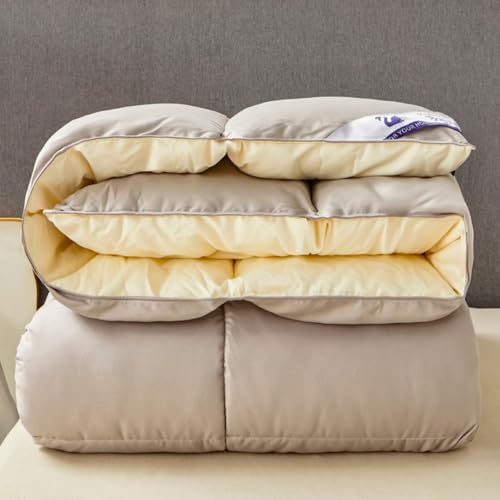 Odot Edredón Invierno Cama 150, Edredon Nordico Sin Funda Invierno Reversible Acolchado para Cama Ligera y Respirable Manta de Suave para Días Frío (SC18 Beige Gris,150x200cm)