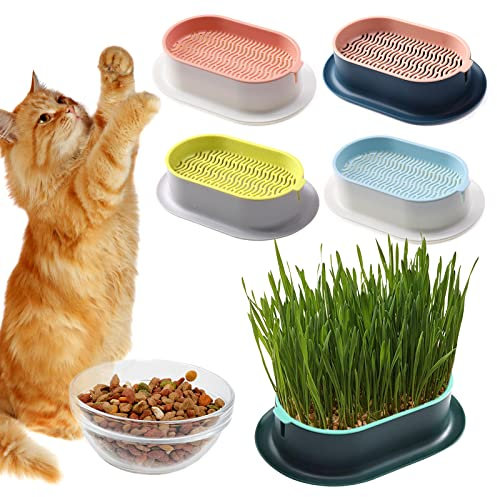 Sprouter-Tablett 5 Katzengras-Pflanzschale -Katzenminze Katzengras- Bodenfreie Katzenpflanzen-Pflanzkiste Kindergarten-Katzenpflanze Für Katzen Hunde Andere Haustiere Cat Grass Pot