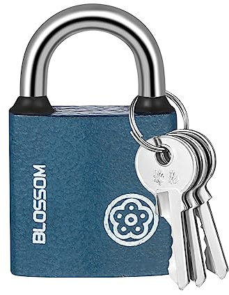 RosewineC Heavy Duty Padlock - Iron Padlock with 3 Keys, Weatherproof Security Lock for Shed, Warehouse, Fence, Office (32 MM)