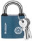 RosewineC Heavy Duty Padlock - Iron Padlock with 3 Keys, Weatherproof Security Lock for Shed, Warehouse, Fence, Office (32 MM)