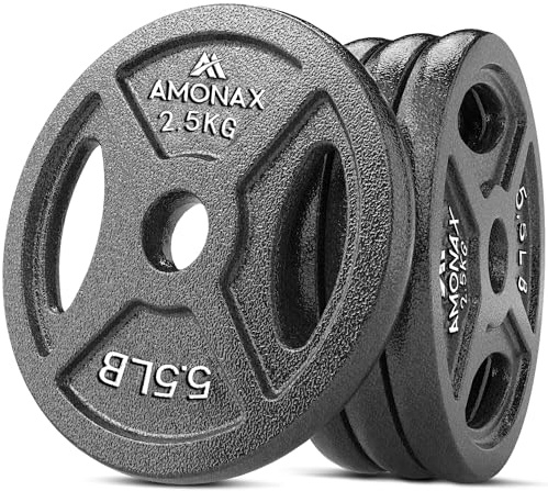 Amonax 1-inch Weight Plates, Cast Iron Dumbbell Weight Plates Set in 2.5kg, 5kg, 10kg. Barbell Metal Weight Plates for Home Gym Weight Lifting and Strength Training (Grip | 2.5KG x 4)