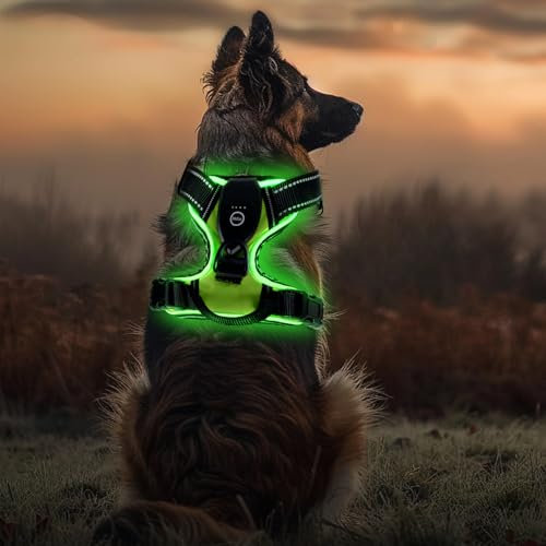 LED Hundegeschirr Leuchtend, USB Aufladbar, Brustgeschirr Hund Reflektierendes & Atmungsaktiv, Beleuchtetes Geschirr für Nachtspaziergänge, für Klein Mittelgroße Grosse Hund (Schwarz Grün,S)
