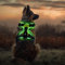 LED Hundegeschirr Leuchtend, USB Aufladbar, Brustgeschirr Hund Reflektierendes & Atmungsaktiv, Beleuchtetes Geschirr für Nachtspaziergänge, für Klein Mittelgroße Grosse Hund (Schwarz Grün,S)
