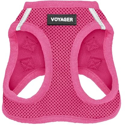 Best Pet Supplies Voyager Step-in Air Harness - All Weather Mesh, Reflective, No Pull Harness for Dogs, Cats - Secure with Hook & Loop Fastener, Buckle, Double D-Rings - Fuchsia, S