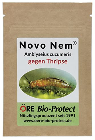 Novo Nem® Ambly. cuc. 1000 Raubmilben – Streuware für 5-10 Pflanzen gegen Thripse an Zierpflanzen, Gemüse und Nutzpflanzen