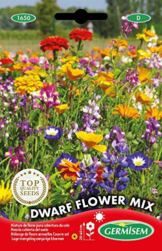 Germisem Dwarf Graines de Mélange de Fleurs 8 g EC1650 Multicolore