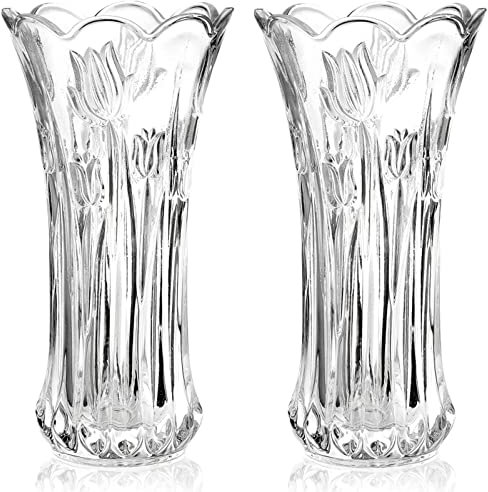 Dicunoy Set of 2 Glass Flower Vase, 9.5 Large Flower Vases for Living Room, Decorative Modern Clear Vase for Centerpiece, Heavy Duty Crystal Tall Cylinder Flared Vases for Home, Wedding, 25 x 13cm
