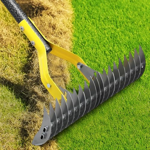 Heavy Duty Thatch Rake for Lawns -15 Dual-Action Dethatcher Thatching Rake with Sharp Blade for Dead Grass Removal,Soil Loosening,Lawn Dethatching,70 Manual Thatcher for Yard,Garden, Lawn