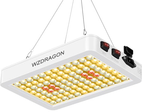 DragonLight Neueste BW1000 Pflanzenlampe LED Vollspektrum mit UV IR, Doppelchips LED Grow Lampe mit 3-Meter-Kabel für Gewächshaus und Zimmerpflanzen Gemüse und Blumenanbau