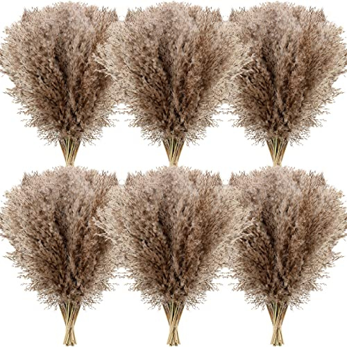 Janinka Dried Pampas Grass Decor 17 Inch Bulk Natural Small Pompous Wild Fluffy Pampas Floral Boho Decor Flowers for Wedding Party Farmhouse Home Bathroom Office Kitchen(100 Pcs,Brown)