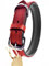 Schnüffelfreunde Halsband für Hunde aus Leder, Hundehalsband für den großen, mittleren und kleinen Hund, Lederhalsband gepolstert, robust (S - 24-30cm, Rot)