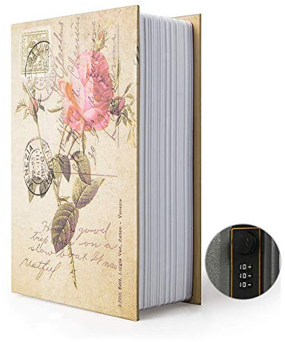 Boîte de rangement pour livre de détournement, coffre-fort secret pour dictionnaire avec serrure/clé à combinaison de sécurité, coffre-fort caché pour livre de détournement (Rose-Combinaison)