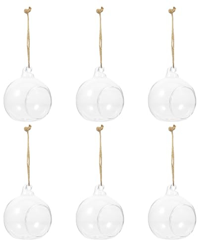 Homoyoyo 6 Jarrones Colgantes de Cristal para Plantas Hidropónicas Diseño Colgante y Fácil de Decorar para Micro Paisajes y Dormitorio