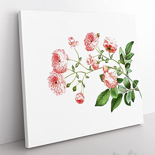 Rambler Roses by Pierre Joseph Redoute Vintage Canvas Wall Art Print Ready to Hang, Framed Picture for Living Room Bedroom Home Office Décor, 50x50 cm (20x20 Inch)