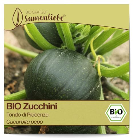 Samenliebe BIO Zucchini Samen alte Sorte Tondo di Piacenza italienische Zucchini runde baby Zucchini 10 Samen samenfestes Gemüse Saatgut für Gewächshaus Freiland und Balkon BIO Gemüsesamen