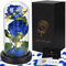 JOTOL Kit de Rosas Eternas Azules de La Bella y La Bestia, con Elegante Cúpula de Cristal, Base Removible de Pino, Luces LED y 1 Tarjeta, Rosas Dobles para San Valentín/Día de Madre