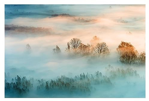 Bilderwelten Fototapete Wald 320 x 480 cm Vlies-Tapete XXL Waldtapete Nebel bei Sonnenaufgang Smart Wandtapete Wanddekoration Wohnzimmer Schlafzimmer