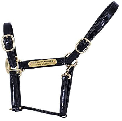 Sport Tent Basic Leather Adjustable Horse Halter with Chin and Snap, Horsemanship Rope Halters Equestrian Horse Riding Headcollars (Black)