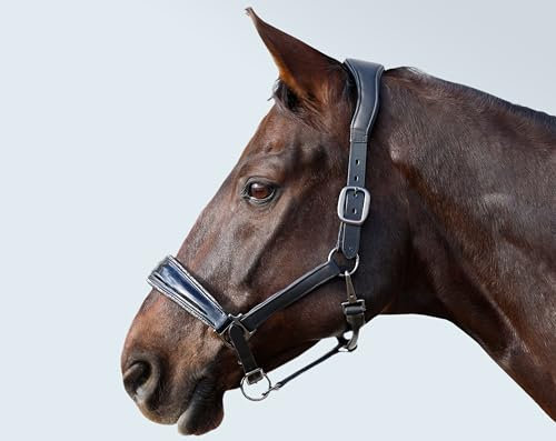 Heinick Lederhalfter ~ Shiny Schwarz-Grau ~ estra weich mit Glitzer-Besatz Vollblut