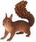 Real Life Running Red Squirrel | Resin Home or Garden Decoration | XRL-RS10-D