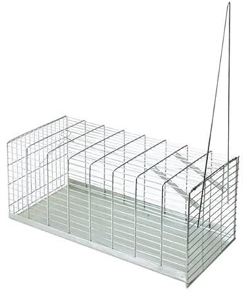 La zappa Trappola per Topi e ratti a Molla in Acciaio zincato per Interno ed Esterno (Large)