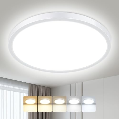hepside Bathroom Ceiling Light 30cm, 3000K/3500K/4000K/5000K/6500K 5CCT LED Ceiling Lights, 24W, Modern, Waterproof, Round Flush Mount for Bathroom, Kitchen, Bedroom, Hallway