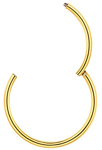 PROSTEEL Segmentring Clicker 18k vergoldet Nasenring Helixring Lippenring 20G 10mm Universal Piercing Nase Septum Ohr Tragus Conch Rook Fashion Körper Schmuck Accessoire