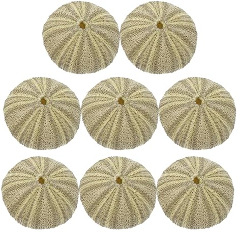 MUELODSIC Coquilles Naturelles D’Oursins de Mer 8 Pièces 4-6 CM Vertes pour Décoration de Plage Ornement Paysager pour Aquarium et Loisirs Créatifs Remplissage de Vase pour Plantes
