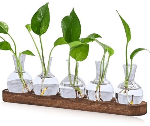 Lot de 5 mini vases de propagation vintage avec plateau en bois marron - Pour décoration de table - Mini vases hydroponiques - Décoration pour fleurs, plantes, boutures, herbes