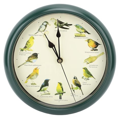 Pyhodi Reloj de Pared con Forma de Casa de Pájaros, Reloj de Pared Silencioso de 10.0 in, Reloj de Pared para Baño, Jardín, Cocina, Relojes Decorativos de Pared, Llamadas de Pájaros,