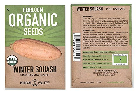 Pink Banana Jumbo Winter Squash Garden Seeds - 3 g Packet - Organic, Non-GMO, Heirloom - Vegetable Gardening Seed