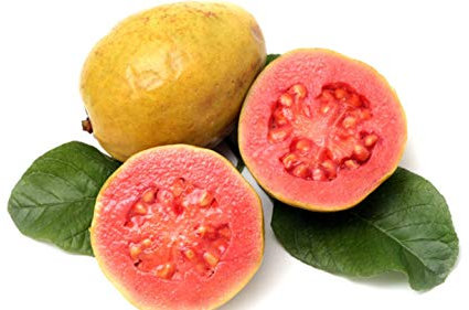 PlenTree Accueil graines de jardin frais goyave goyavier Thaïlande rose grande 20seeds de fruits frais/sac: 3