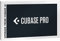 Steinberg Cubase Pro 12 Upgrade für Cubase AI 12, Audio-MIDI-Sequenzer für Studioanwendungen oder Homerecording (Workflow & Performance optimiert, Features: MIDI Remote Integration, FX Modulator uvm.)