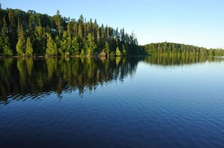 Tableau en bois 110 x 70 cm : reflets sur la forêt de conifères sur un lac sauvage (8787665)