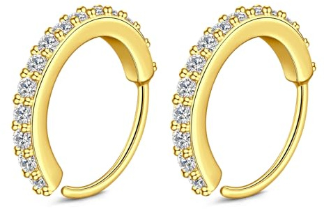 AceFun 20G piercing nez anneaux or acier inoxydable 10mm Tragus Helix piercing anneau charnière segment anneaux Clicker cartilage Daith Rook boucles oreilles piercing bijoux pour femmes hommes