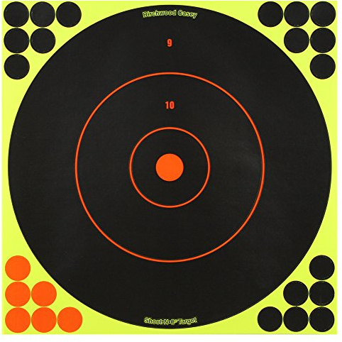 Birchwood Casey Shoot-N-C 12 Inch Bullseye Targets - 5 Count Pack with 120 Pasters, Black/Red/Yellow