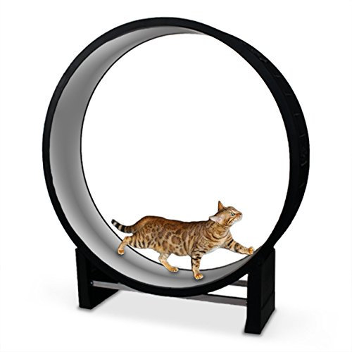 CanadianCat Company | Katzenlaufrad Cat in Motion Black/hellgrau - Trainingsgerät und Spielzeug für Katzen