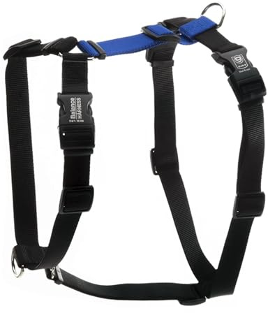 Blue-9 Buckle-Neck Balance Harness, Fully Customizable Fit No-Pull Harness, Ideal for Dog Training and Obedience, Made in The USA, Blue, Medium/Large