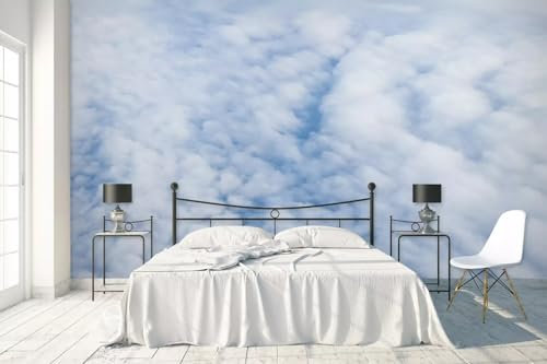 Art Papel tapiz fotográfico Piedra 3D, 250 * 175cm Papel Autoadhesivo Pared Adhesivo para Muebles Dormitorio Decorativos Pared Salon Habitación